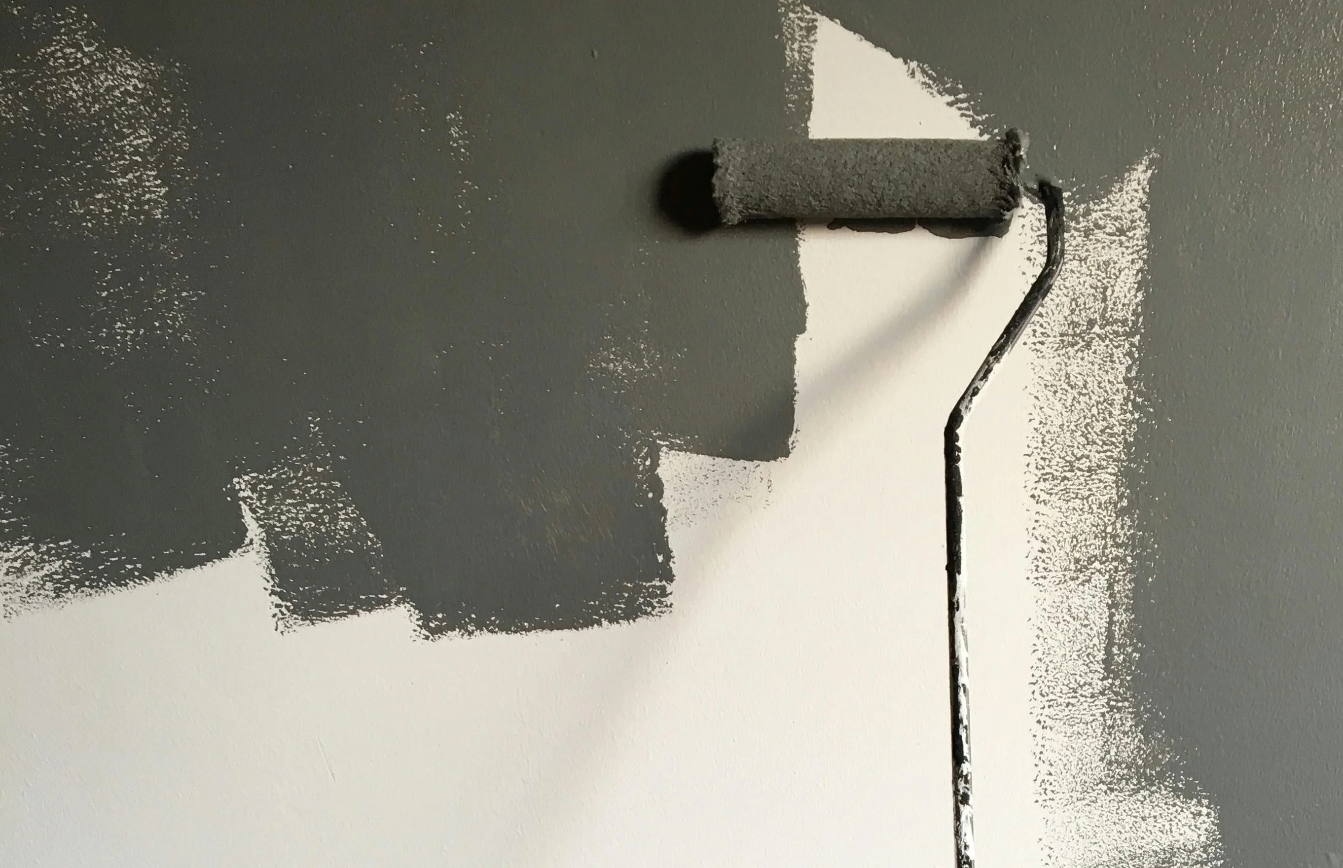 Professional painting and finishing services